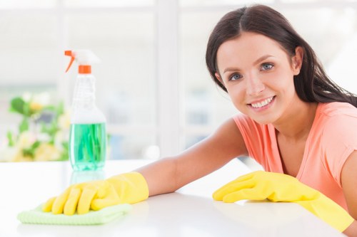 Professional upholstery cleaning for a sofa in a SW2 home