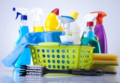 Professional pet stain odour removal treatment for carpets in SW2