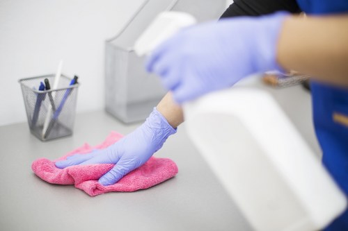 Deep cleaning pet stains from upholstery in SW2