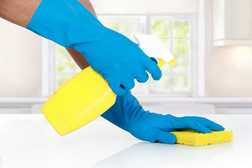 Professional stain removal for a carpet in a SW2 home