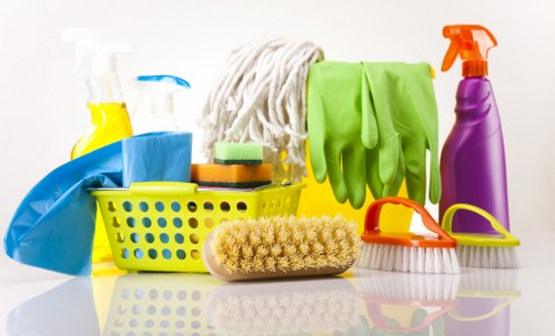 Cleaner in SW2 carrying out a safe and insured cleaning service