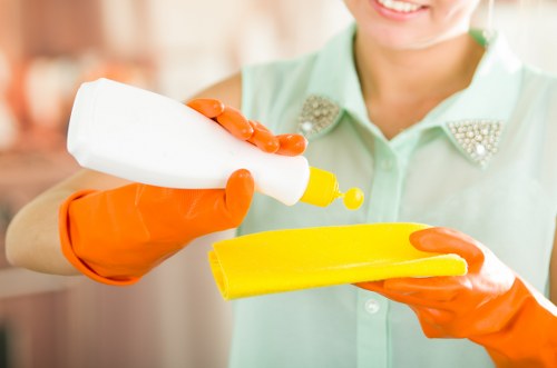 Trusted local domestic cleaning service for homes across SW2