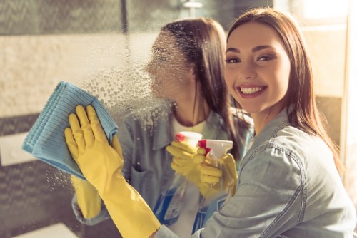 Detailed cleaning of a domestic oven in the SW2 area