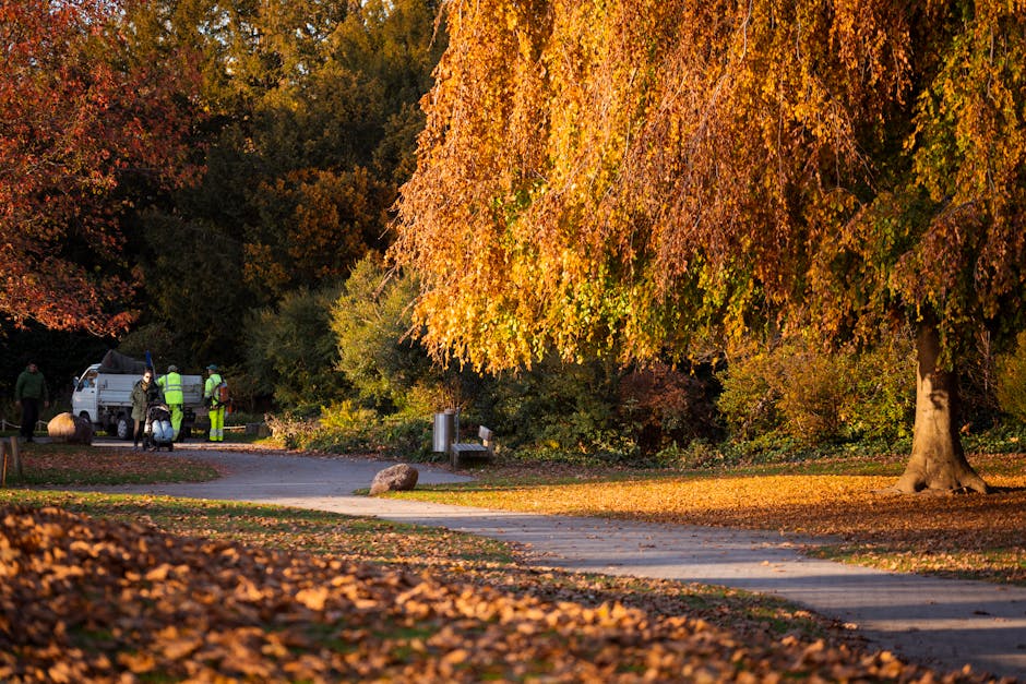In Brockwell Park, autumn foliage covers the ground with fallen orange and yellow leaves. A large deciduous tree with vibrant orange and yellow leaves stands prominently on the right side, casting shadows on the paved walkway. To the left, a small group of workers in high-visibility clothing are engaged in cleanup activities near a white van, with cleaning tools and equipment visible nearby. The background features dense greenery with trees displaying reddish and green leaves, under warm, natural sunlight that enhances the seasonal colors. The park appears well-maintained, with a bench, a trash bin, and a smooth, clean pathway, illustrating the focus on urban outdoor space hygiene and maintenance. The scene is captured during daytime, emphasizing cleanliness and the importance of outdoor area upkeep, aligned with the services offered by Cleaners SW2 in their commitment to event cleanup and commercial cleaning in Brixton, SW2.